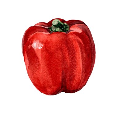 Watercolor red pepper. Raster vegetable illustration for a cookbook, ingredients of recipes, advertising, cards for children and botanical magazines. Natural and organic agriculture.