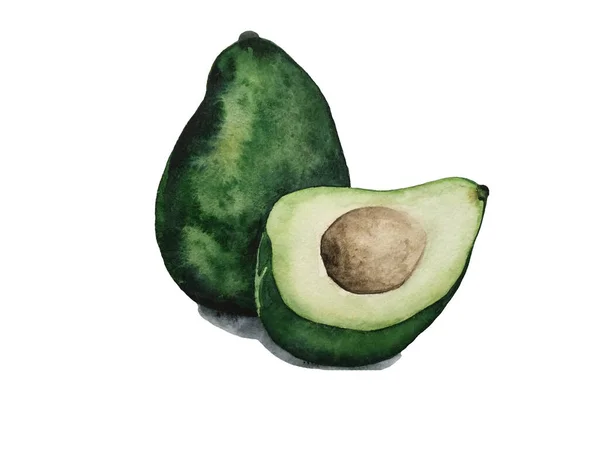 Aquarell Avocado Raster Gemüse Illustration Für Ein Kochbuch Zutaten Für — Stockfoto