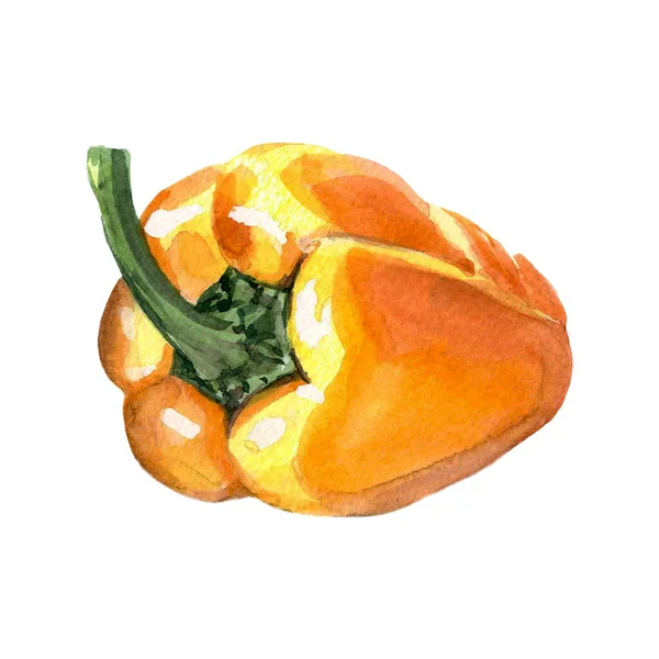 Υδατογραφία Κίτρινο Πιπέρι Raster Λαχανικών Εικονογράφηση Για Ένα Βιβλίο Μαγειρικής — Φωτογραφία Αρχείου