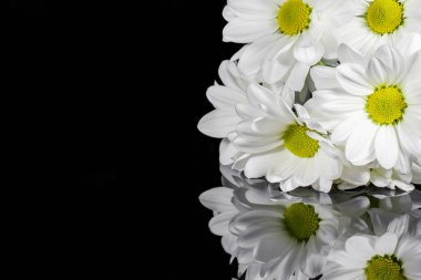 Siyah arka planda bir buket kasımpatı.