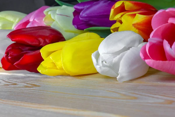 Ahşap bir zemin üzerinde çok renkli laleleri yazıtlar için bir yer ile karıştır 