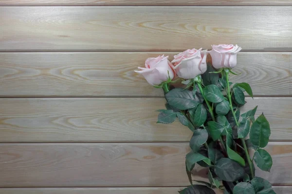Růžové růže na dřevěném pozadí izolovat — Stock fotografie