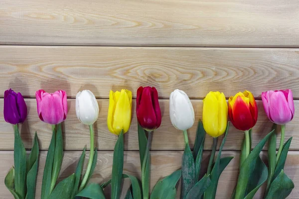 Mezclar tulipanes multicolores sobre un fondo de madera con un lugar para la inscripción —  Fotos de Stock