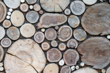 Arka plan olarak duvardaki tahtayı kesmiş.