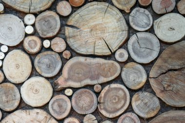 Arka plan olarak duvardaki tahtayı kesmiş.