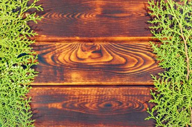 Arkaplan olarak ahşap bir arkaplanda TUI dalları