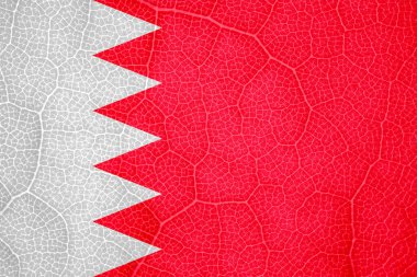 Bahreyn bayrağı bir ağaç yaprağı makrosu üzerinde