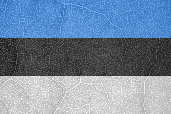 Bandeira da Estónia sobre a estrutura de uma macro folha de árvore — Fotografia de Stock