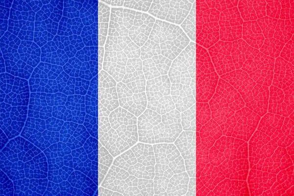 나뭇잎 매크로의 구조에 있는 프랑스의 국기 — 스톡 사진