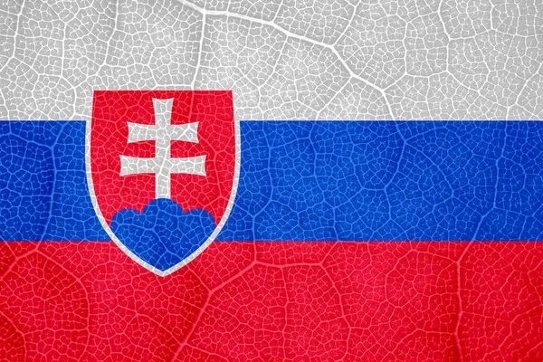 Flag Slovakiet om strukturen af et træ blad makro - Stock-foto