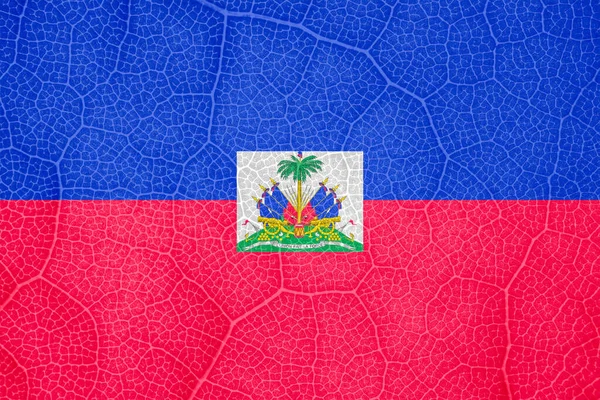 Bendera Haiti pada struktur dari sebuah daun pohon makro — Stok Foto