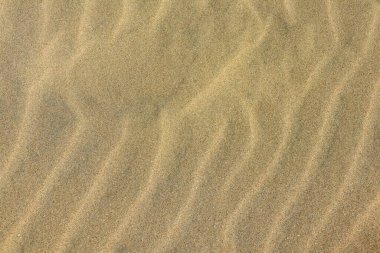 Sahilde kum, arka plan olarak. Kum Kumu