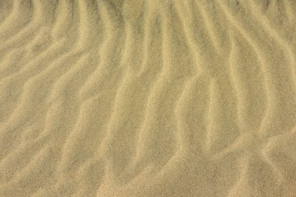 해변의 모래가 배경이다. 모래 언덕 — 스톡 사진