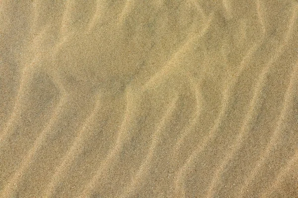 Areia na praia como fundo. Areia de duna — Fotografia de Stock