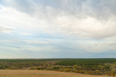 Sonbahar orman manzarası mavi gökyüzü arkaplanı