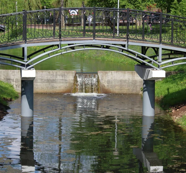 bridge in the park, the channel with a small dike