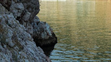 Sonbaharda denize düşen kasvetli kayalar.