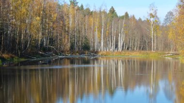 Vahşi huş ormanlarında göl, Suda sandıklar