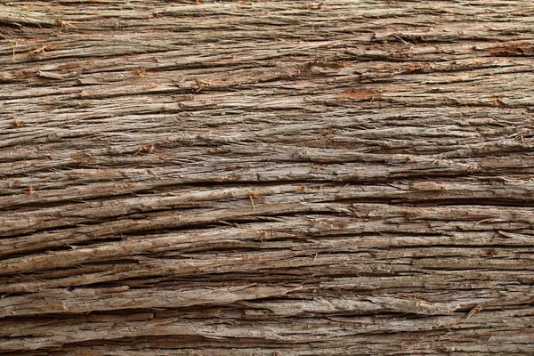 オリジナルテクスチャ背景木樹皮明るいパターン — ストック写真