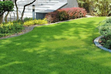 Ofis binasının yakınındaki temiz yeşil çimenler.