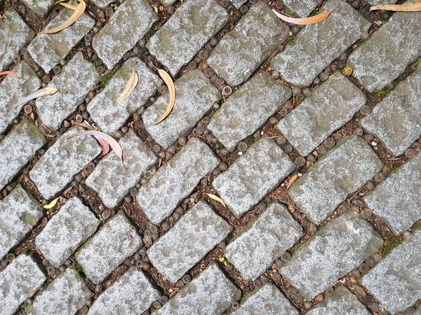 Old stone road background. Grey color rocks on the ground with tree seeds, old stone road or walkway