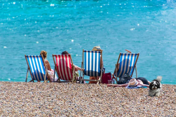 Vrouwen Vakantie Met Een Hond Rusten Zonnebaden Ligstoelen Tegen Achtergrond — Stockfoto