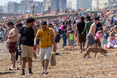 İngiltere 29 Haziran 2019 Brighton plajı, Brighton ve Hove, Doğu Sussex, İngiltere. Binlerce insan güneşin üzerinde rahatlıyor.