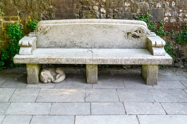 Hermoso banco de piedra vieja con la etiqueta "NON NOBIS TANTUM NATI" se traduce como "No solo para nosotros nacemos " —  Fotos de Stock