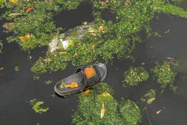 Plastic waste in the water causes pollution, old shoe floats in the pond - environmental pollution and waste disposal concept