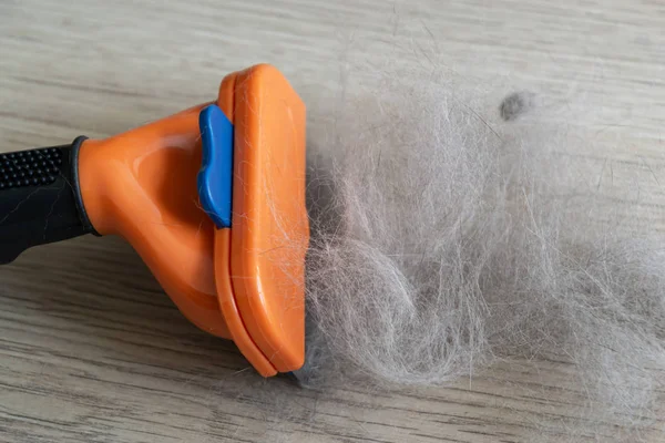 The comb of pet slicker brush with cat fur clump after grooming — Stock Photo, Image