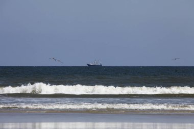 okyanus köpük dalgalar Atlantik Florida kıyısında