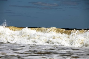 okyanus köpük dalgalar Atlantik Florida kıyısında