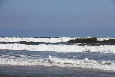 okyanus köpük dalgalar Atlantik Florida kıyısında