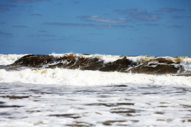 okyanus köpük dalgalar Atlantik Florida kıyısında