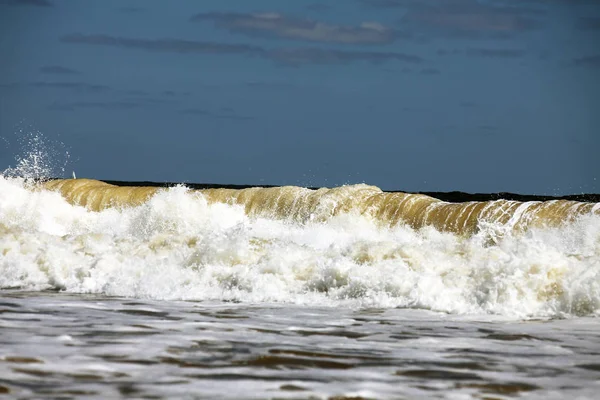大西洋フロリダ海岸で海の泡波 — ストック写真