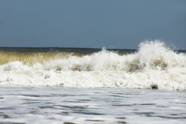 okyanus köpük dalgalar Atlantik Florida kıyısında