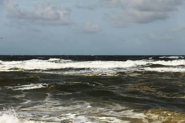 Olas Espuma Oceánica Costa Atlántica Florida — Foto de Stock
