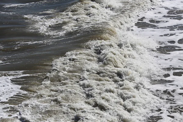 大西洋フロリダ海岸で海の泡波 — ストック写真