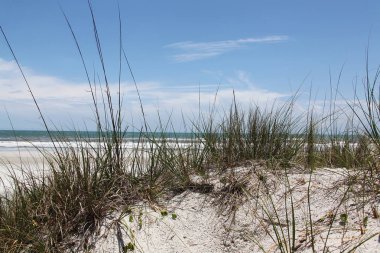 Beyaz kumul Florida plaj yaz saati