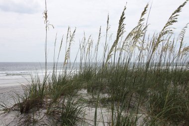 Beyaz kumul Florida plaj yaz saati