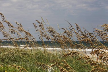 Beyaz kumul Florida plaj yaz saati