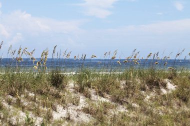 Beyaz kumul Florida plaj yaz saati