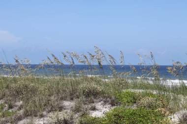 Beyaz kumul Florida plaj yaz saati