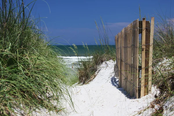 Λευκή Άμμο Αμμόλοφος Της Florida Beach Για Καλοκαίρι — Φωτογραφία Αρχείου