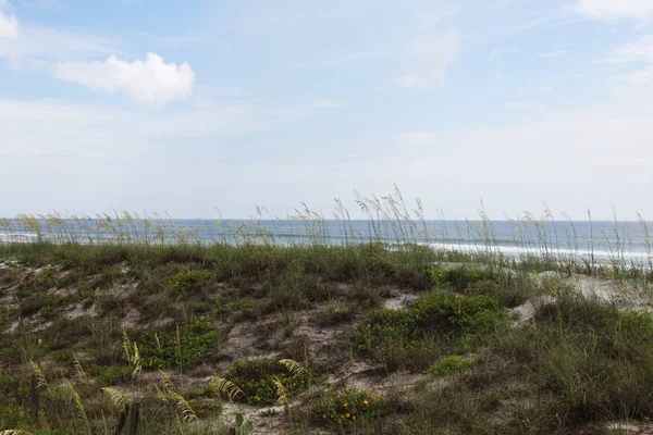 Dune Sable Blanc Plage Floride Été — Photo