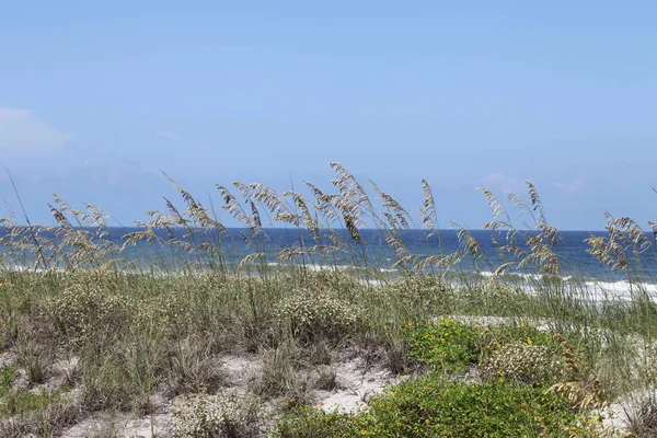 Білого Піску Дюни Флорида Пляжі Літній Час — стокове фото