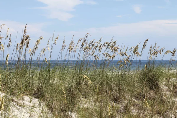 Λευκή Άμμο Αμμόλοφος Της Florida Beach Για Καλοκαίρι — Φωτογραφία Αρχείου