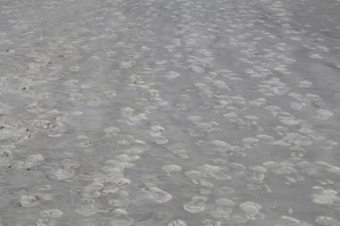 Yaz aylarında güneş Florida plaj