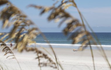 bir plajda denize yulaf