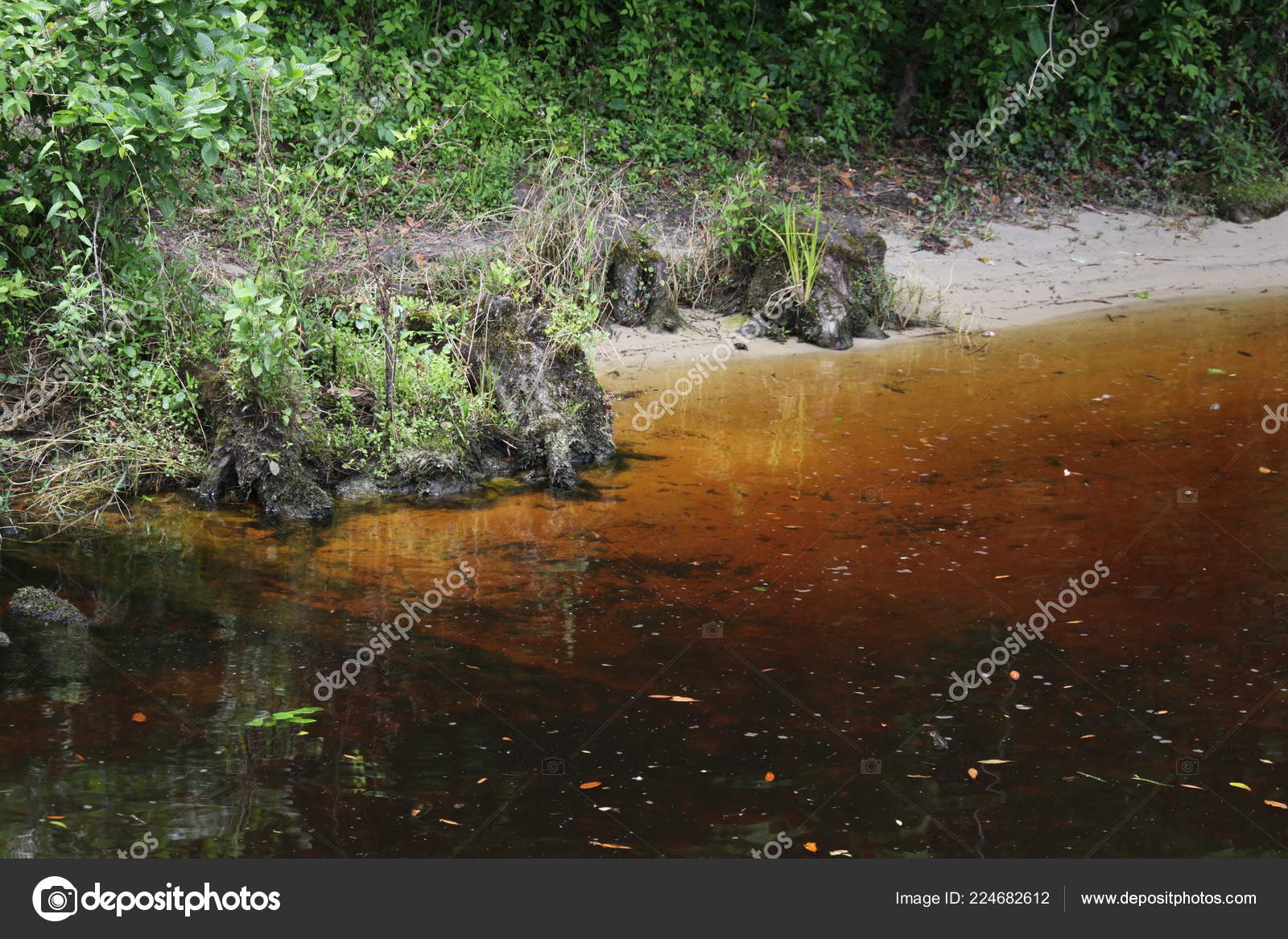 Black Creek River Florida Clay County Stock Photo by ©viktor2013 224682612